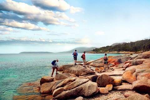 Great Walks Of Australia: 4-Day Freycinet Experience Walk - Accommodation Bookings 0