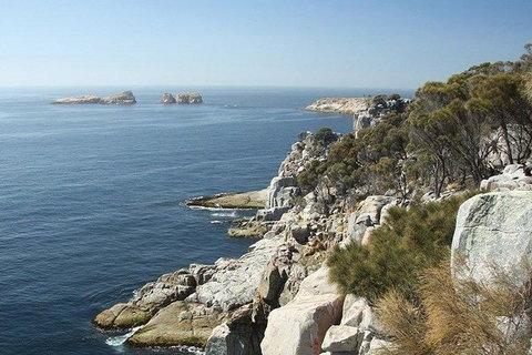 Great Walks Of Australia: 4-Day Freycinet Experience Walk - Accommodation Bookings 10