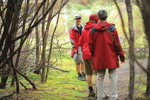 Great Walks Of Australia: 4-Day Freycinet Experience Walk - Accommodation Bookings 7