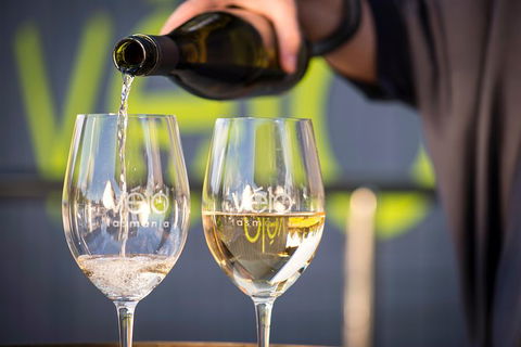 Half Day Tamar Valley Wine Tour - Accommodation Bookings 3