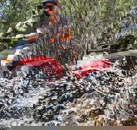 Quad Bike 2-Hour Adventure Freycinet National Park - Accommodation Bookings