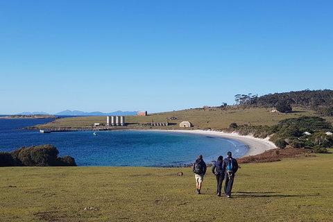 6-Day Best Of Tasmania Hiking Tour From Hobart - Accommodation Bookings 1