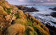 4-Day Tarkine Wilderness Photography Workshop - thumb 0