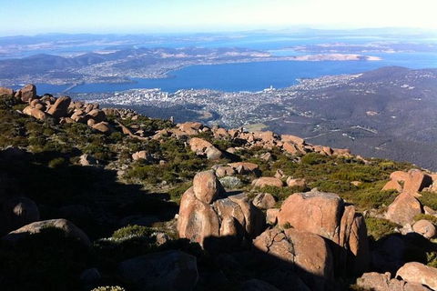 Mt Wellington ULTIMATE Tour, Most Comprehensive/ Best Value - Accommodation Bookings 1