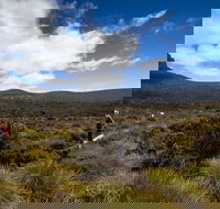 6-Day Overland Track PhotoTour - Accommodation Bookings