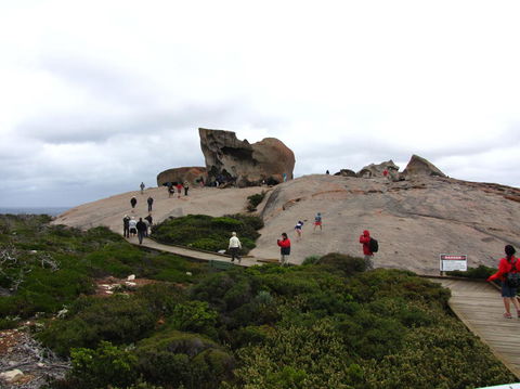 Kangaroo Island In A Day Tour From Adelaide - Accommodation Bookings 21