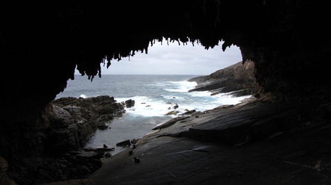 Kangaroo Island In A Day Tour From Adelaide - Accommodation Bookings 20