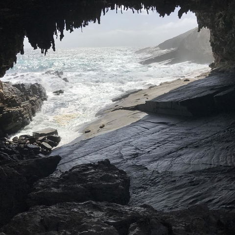 Kangaroo Island In A Day Tour From Adelaide - Accommodation Bookings 5