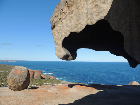 Kangaroo Island In A Day Tour From Adelaide - Accommodation Bookings 13