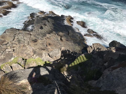 Kangaroo Island In A Day Tour From Adelaide - Accommodation Bookings 3