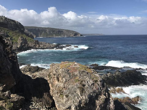 Kangaroo Island In A Day Tour From Adelaide - Accommodation Bookings 4