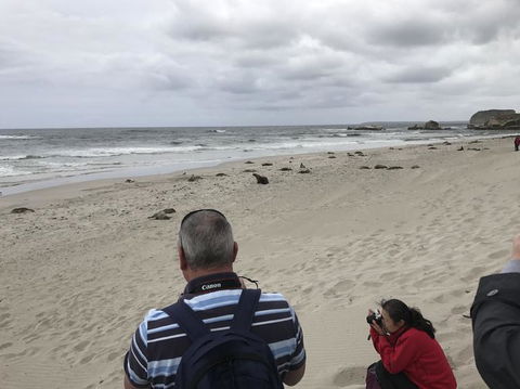 Kangaroo Island In A Day Tour From Adelaide - Accommodation Bookings 10