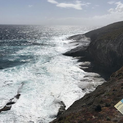 Kangaroo Island In A Day Tour From Adelaide - Accommodation Bookings 6