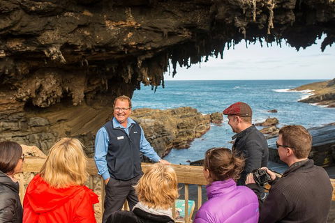 Kangaroo Island In A Day Tour From Adelaide - Accommodation Bookings 28