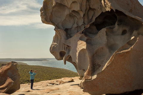 Kangaroo Island In A Day Tour From Adelaide - Accommodation Bookings 30