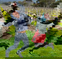 Mclaren Vale Luxury Full Day Small Group Wine Tour - Accommodation Bookings