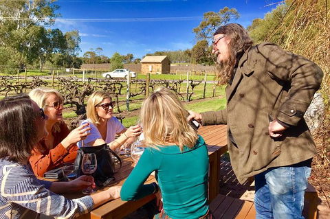 Mclaren Vale Luxury Full Day Small Group Wine Tour - Accommodation Bookings 6