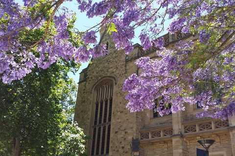 Cultural Caper Adelaide Walking Tour - Accommodation Bookings 7