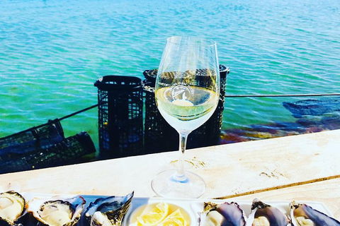 Coffin Bay Oyster Farm & Tasting Tour - Accommodation Bookings 11