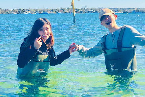 Coffin Bay Oyster Farm & Tasting Tour - Accommodation Bookings 4