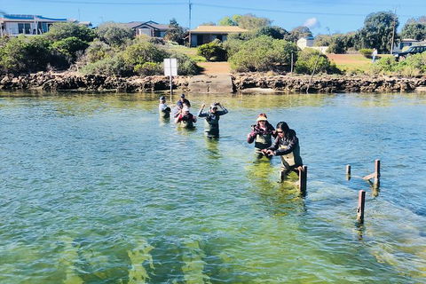 Coffin Bay Oyster Farm & Tasting Tour - Accommodation Bookings 6