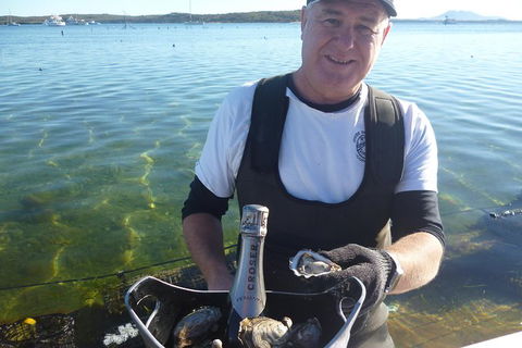 Coffin Bay Oyster Farm & Tasting Tour - Accommodation Bookings 2