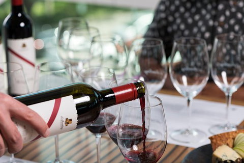 D'Arenberg McLaren Vale: The Dead Arm Shiraz Vertical Masterclass And Cheese Plate - Accommodation Bookings 1