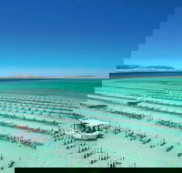 Coffin Bay Day Tour - A Taste of Coffin Bay - Accommodation Bookings