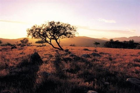 Adelaide To Coober Pedy 7 DAY SMALL GROUP 4WD SAFARI - Accommodation Bookings 0