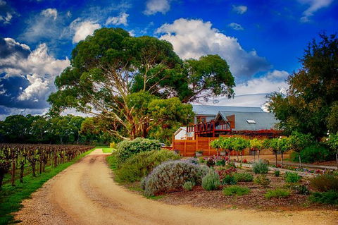 Langhorne Creek Wine Region Small Group Day Trip From Adelaide Or Glenelg - Accommodation Bookings 2