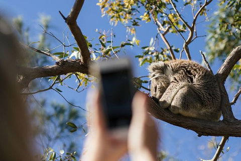 Exceptional Port Lincoln, Seafood And Wildlife Tour - Accommodation Bookings 0