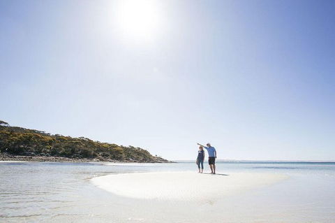 Exceptional Port Lincoln, Seafood And Wildlife Tour - Accommodation Bookings 1