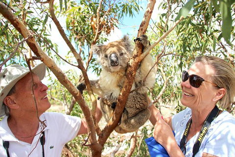Exceptional Port Lincoln, Seafood And Wildlife Tour - Accommodation Bookings 6