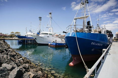 Exceptional Port Lincoln, Seafood And Wildlife Tour - Accommodation Bookings 8