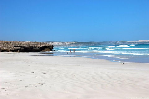 Exceptional Port Lincoln, Seafood And Wildlife Tour - Accommodation Bookings 4