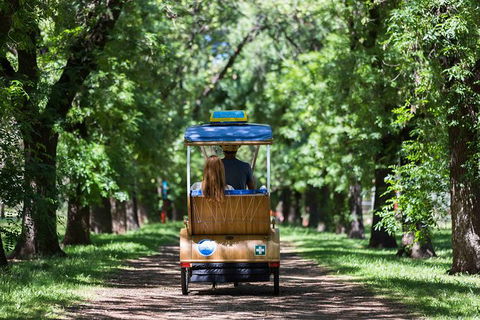Adelaide 90-Minute Pedicab Tour: Scenic Green & River Experience - Accommodation Bookings 2