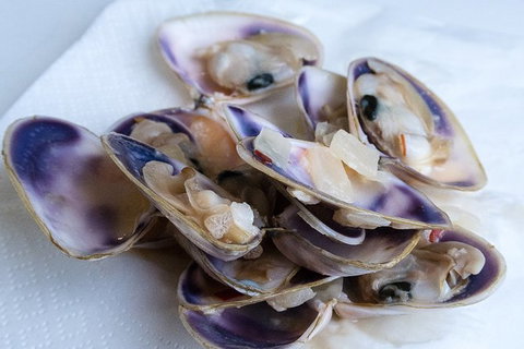Coorong Adventure Cruise - Accommodation Bookings 6