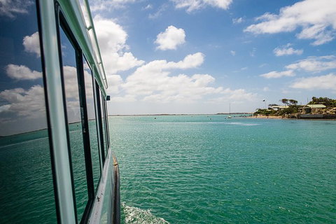 Coorong Adventure Cruise - Accommodation Bookings 3
