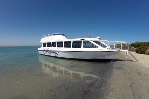 Coorong Adventure Cruise - Accommodation Bookings 10