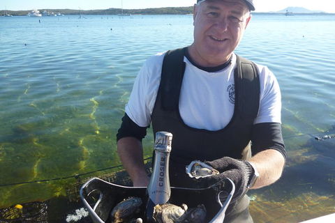 Oyster Farm And Tasting Tour With Hotel Pick-up And Return From Port Lincoln - Accommodation Bookings 0
