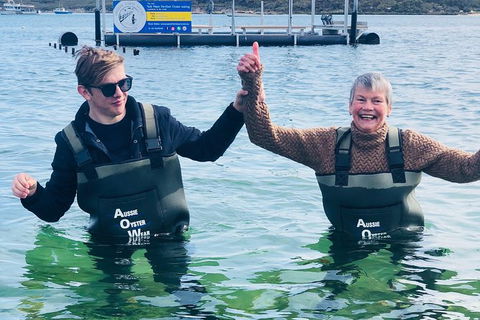 Oyster Farm And Tasting Tour With Hotel Pick-up And Return From Port Lincoln - Accommodation Bookings 5