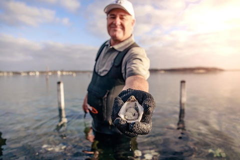 Oyster Farm And Tasting Tour With Hotel Pick-up And Return From Port Lincoln - Accommodation Bookings 3