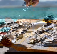 Experience Coffin Bay Short and Sweet Oyster Farm Tour - Accommodation Bookings