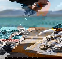 Experience Coffin Bay Oyster Farm and Bay Tour - Accommodation Bookings