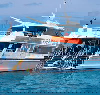 Poseidon Outer Great Barrier Reef Snorkeling and Diving Cruise from Port Douglas - Accommodation Bookings