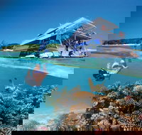 3-Day Southern Great Barrier Reef Tour Including Lady Musgrave Island