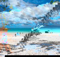 Whitehaven Beach Half-Day Cruises - Accommodation Bookings