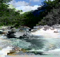 Daintree Rainforest Cape Tribulation Mossman Gorge in a day - Accommodation Bookings