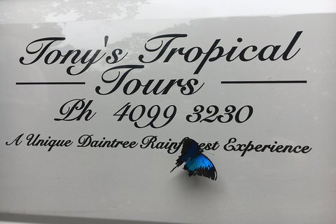Daintree Rainforest, Cape Tribulation, Mossman Gorge In A Day - Accommodation Bookings 7