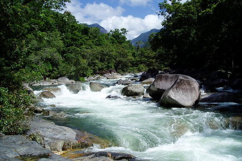 Daintree Rainforest, Cape Tribulation, Mossman Gorge In A Day - Accommodation Bookings 2